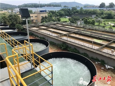 九峰明渠臨時污水處理設(shè)施高效運(yùn)行，顯著削減入東湖污水量